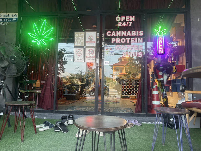 Oasis