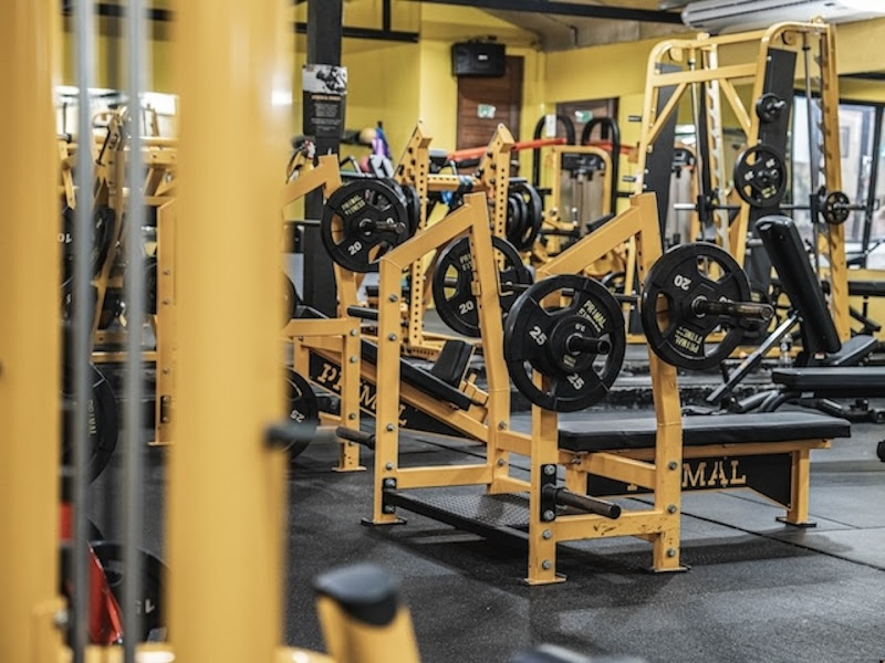 Primal Fitness